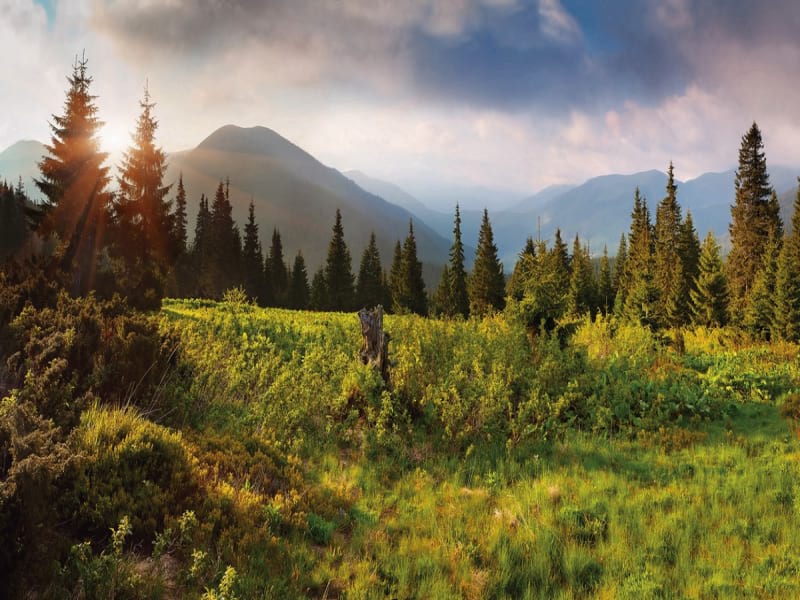 Fototapeta Landschaftliche Natur