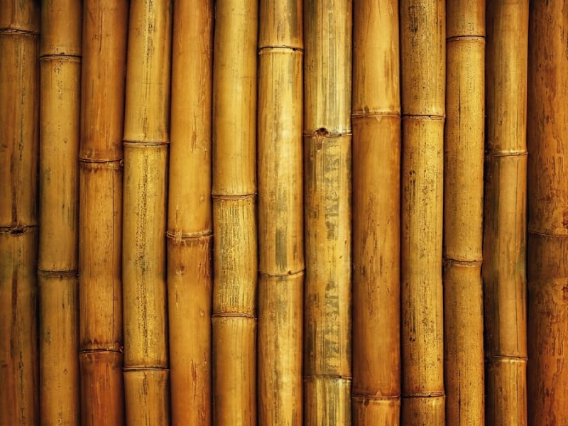 Fototapeta Bambuswand