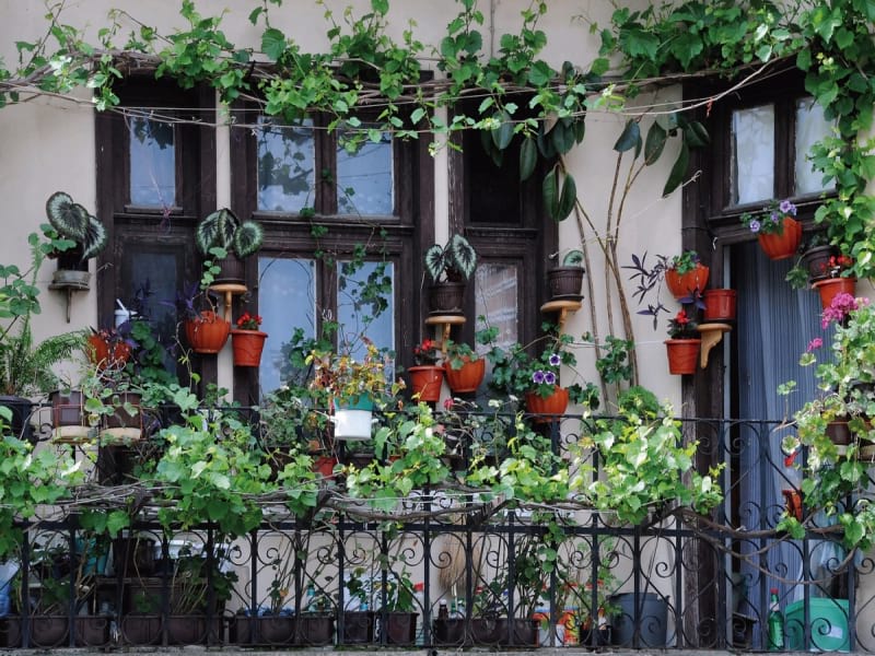 Fototapeta Blumen auf dem Balkon
