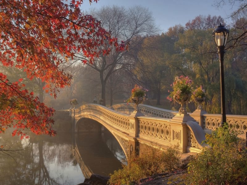Fototapeta Morgendämmerung im Herbstpark 