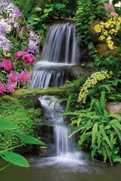 Fototapeta Künstlicher Wasserfall im Garten