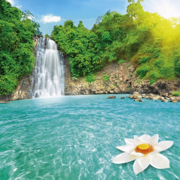 Fototapeta Wasserfall und Lotusblume