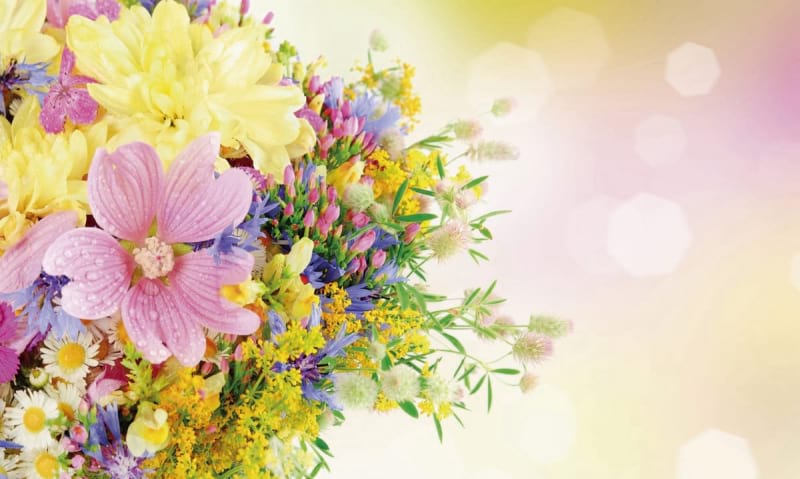 Fototapeta Strauß wilder Blumen