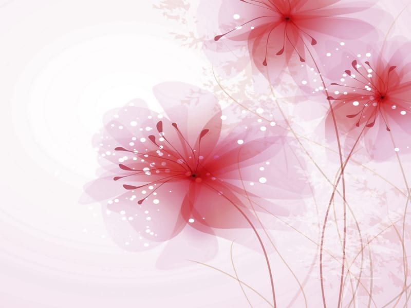 Fototapeta Drei Blumen