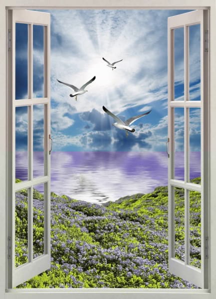Fototapeta Fenster