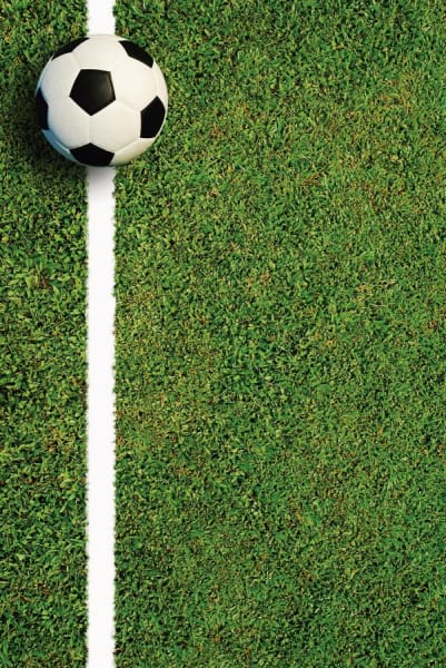 Fototapeta Ball auf dem Feld