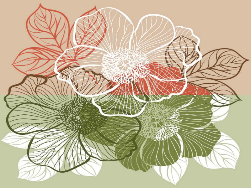 Fototapeta Blühende Blumen