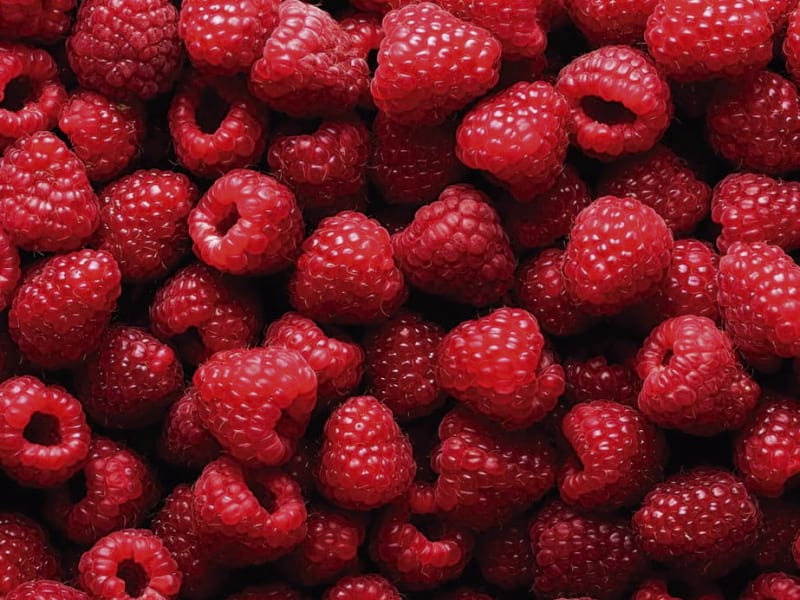 Fototapeta Himbeeren