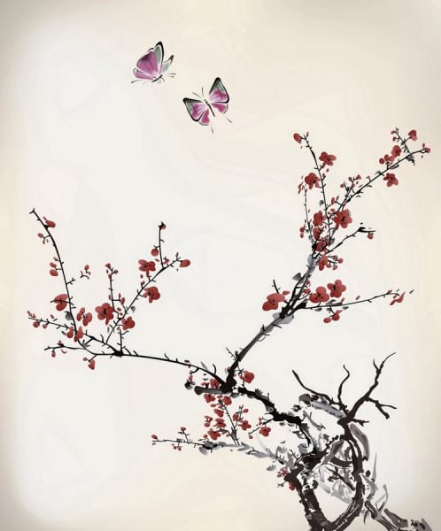 Fototapeta Sakura-Blüte
