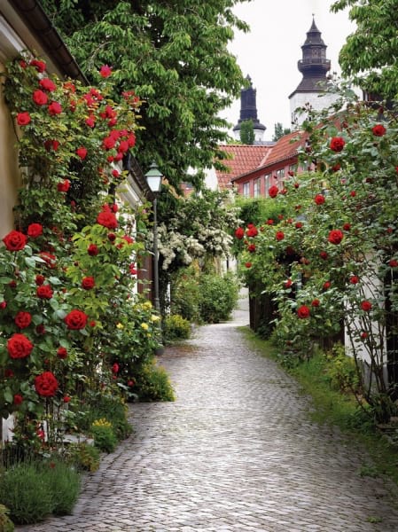 Fototapeta Straße in Blumen