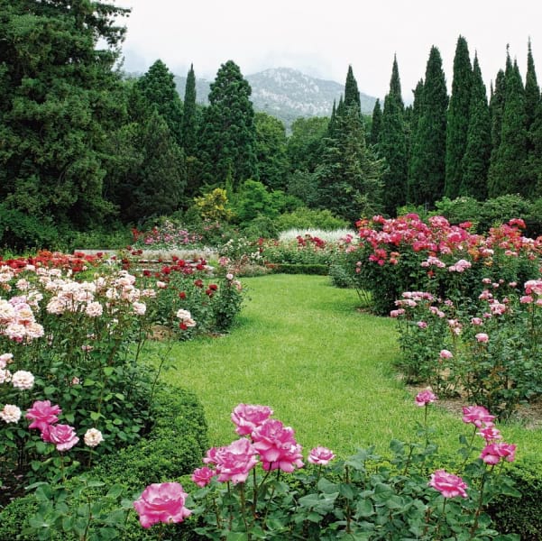 Fototapeta Rosengarten