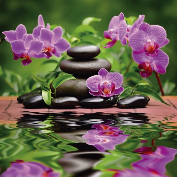 Fototapeta Orchideen- und Basaltsteine