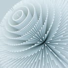 Miniatura fototapety Blume 3D