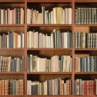 Miniatura fototapety Zimmer mit Büchern