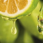 Miniatura fototapety Ein Tropfen Zitronensaft