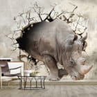 Miniatura fototapety Nashorn von der Wand we wnętrzu salonu