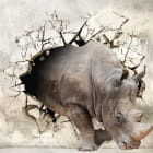 Miniatura fototapety Nashorn von der Wand