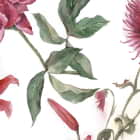 Miniatura fototapety Kolibri und Blumen fragment # 1