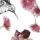 Miniatura fototapety Kolibri und Blumen fragment #2