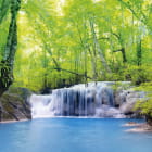 Miniatura fototapety Naturwaldwasserfall