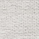Miniatura fototapety Alte Backsteinmauer