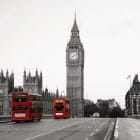 Miniatura fototapety Busse in London