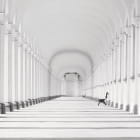 Miniatura fototapety Weißer Tunnel