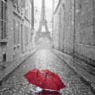 Miniatura fototapety Roter Regenschirm