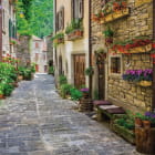 Miniatura fototapety Straßen der Provence