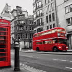 Miniatura fototapety Roter Bus