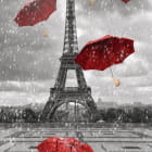 Miniatura fototapety Rote Regenschirme in Paris