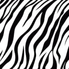 Miniatura fototapety Zebra-Teppich