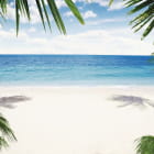Miniatura fototapety Wunderschöner tropischer Strand