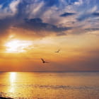 Miniatura fototapety Strahlender Sonnenuntergang am Meer