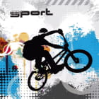 Miniatura fototapety Extremes Radfahren