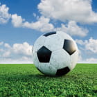 Miniatura fototapety Fußball auf dem Rasen
