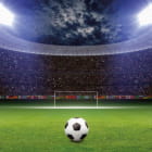Miniatura fototapety Ball im Stadion