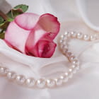 Miniatura fototapety Rose und Perlen