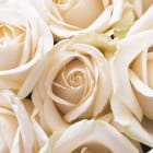 Miniatura fototapety Strauß Pfirsichrosen
