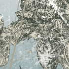 Miniatura fototapety Irisblüten fragment #2