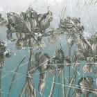 Miniatura fototapety Irisblüten