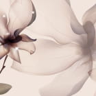 Miniatura fototapety Magnoliengrafiken