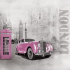 Miniatura fototapety Rosa Retro-Auto