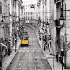 Miniatura fototapety Straßenbahn in der Stadt