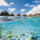 Miniatura fototapety Tauchen unter Wasser