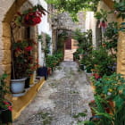 Miniatura fototapety Schmale Blumenstraße
