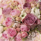 Miniatura fototapety Verschiedene Rosen