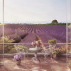 Miniatura fototapety Terrasse Provence