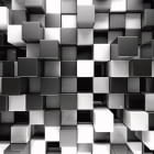Miniatura fototapety Schwarz-weiße 3D-Würfel