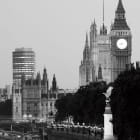 Miniatura fototapety London schwarz und weiß